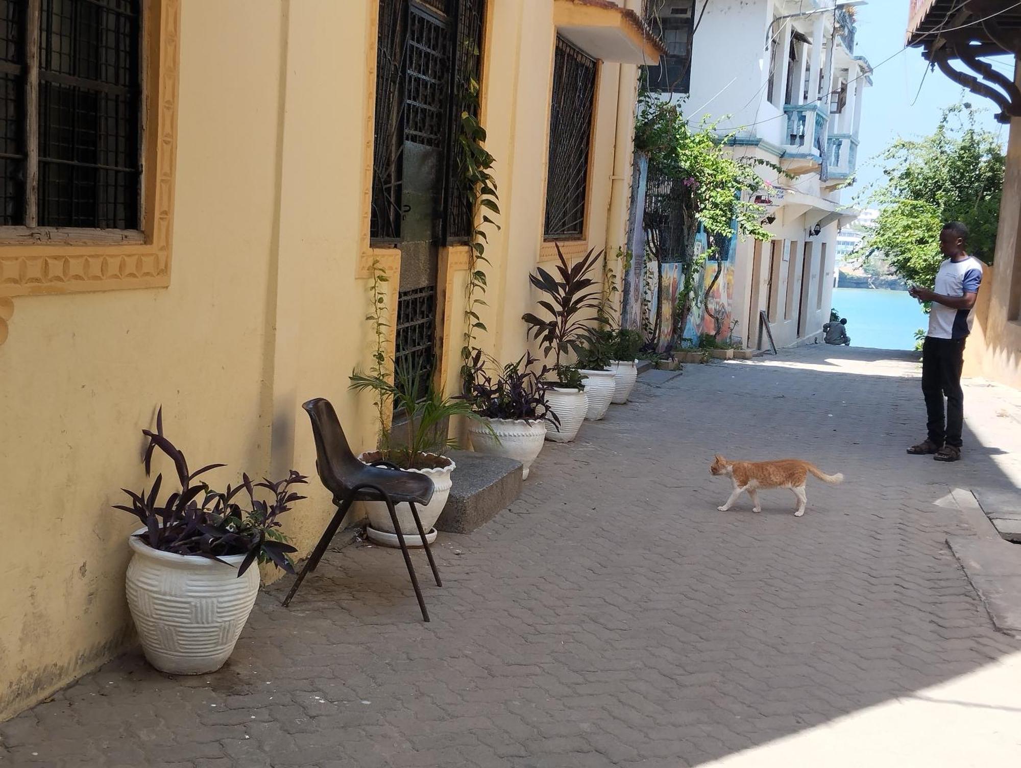 Mombasa Comfort House, Old Town Zewnętrze zdjęcie